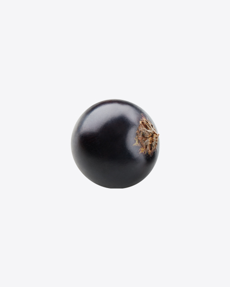 Free Black Currant Berry