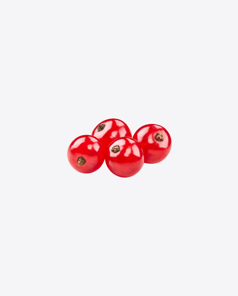 Free Red Currant Berries
