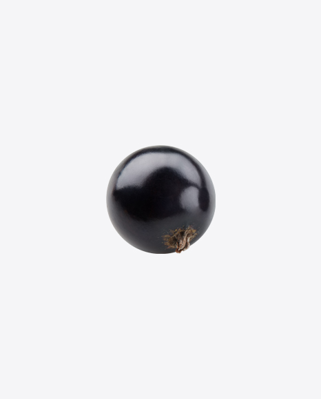 Free Black Currant Berry