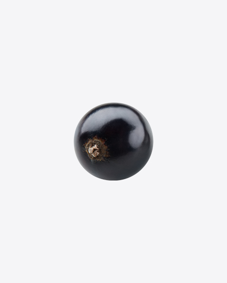 Free Black Currant Berry