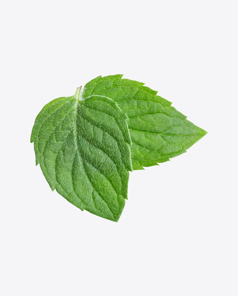 Free Mint Leaves