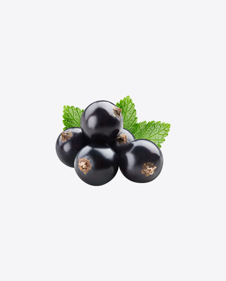 Free Black Currant Berries w/ Leaves