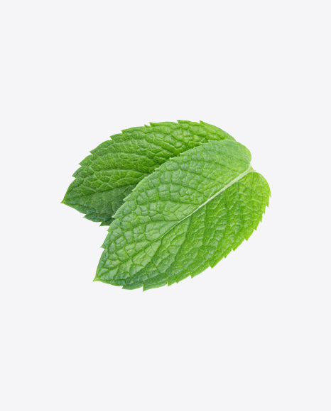 Free Mint Leaves