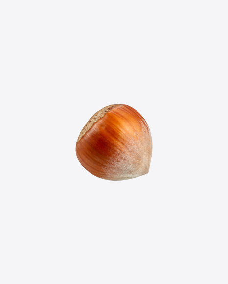 Free Hazelnut