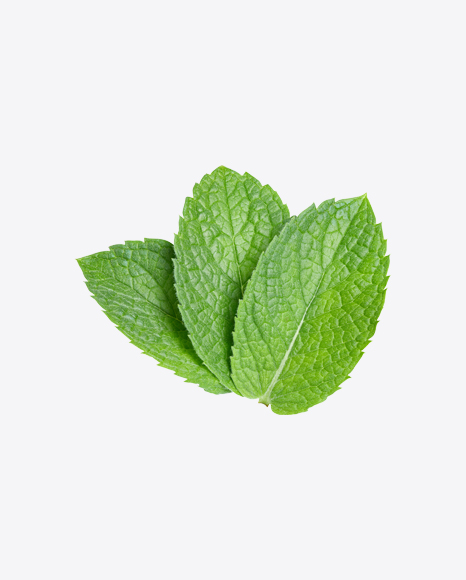 Free Mint Leaves