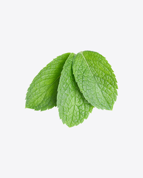 Free Mint Leaves