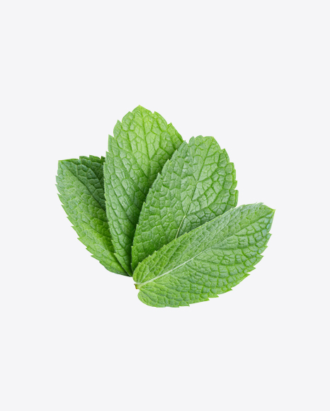 Free Mint Leaves