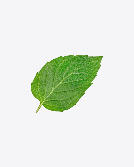 Free Mint Leaf