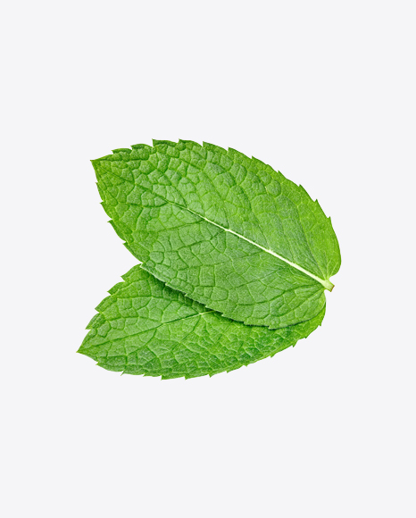 Free Mint Leaves