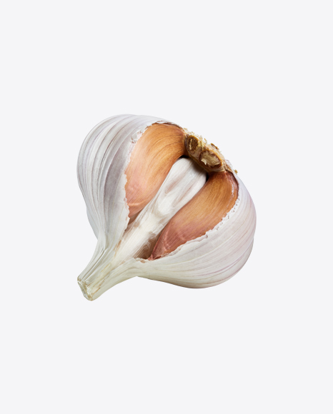 Free Garlic