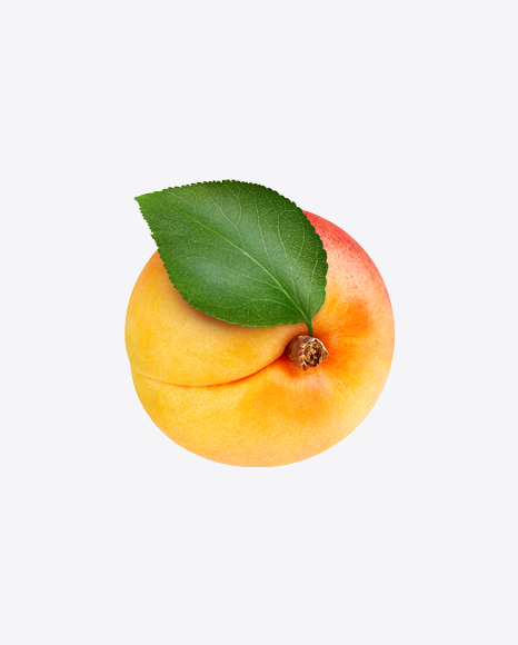 Free Apricot
