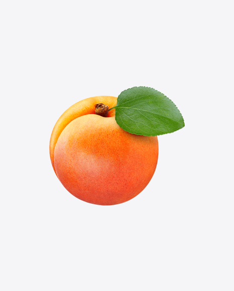 Free Apricot