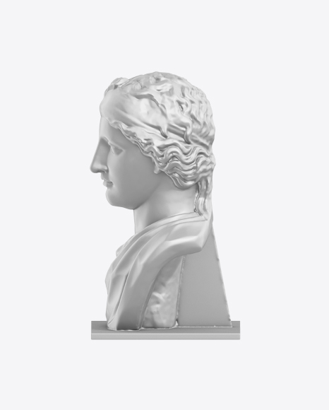 Free Female Bust