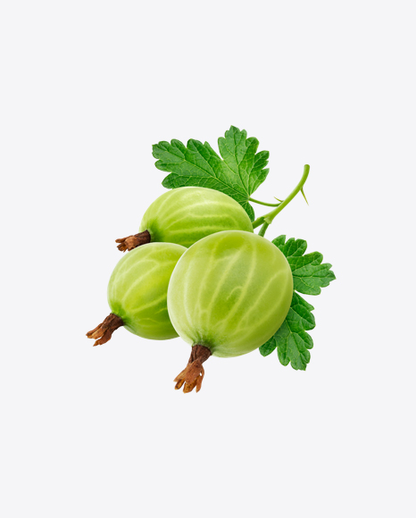 Free Green Goosberry
