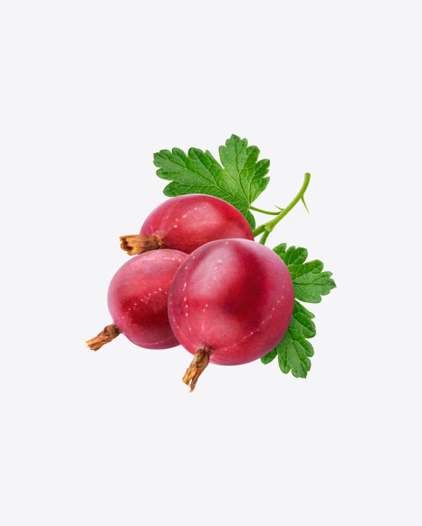 Free Red Goosberry