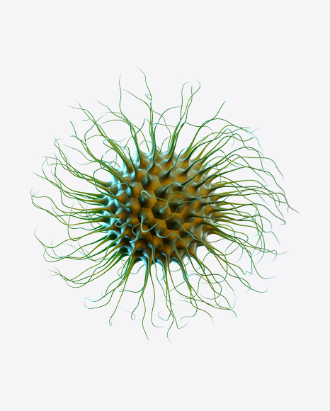 Free Organic Abstract Object