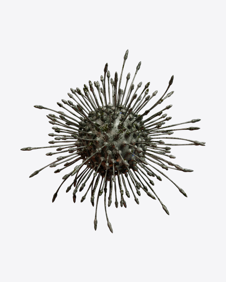 Free Organic Abstract Object