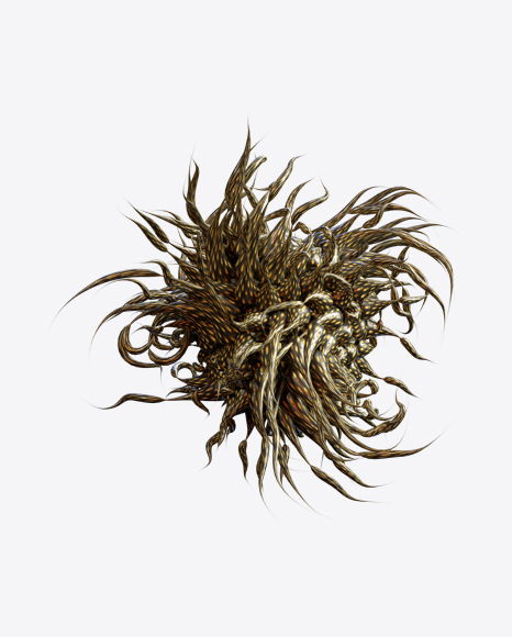 Free Organic Abstract Object