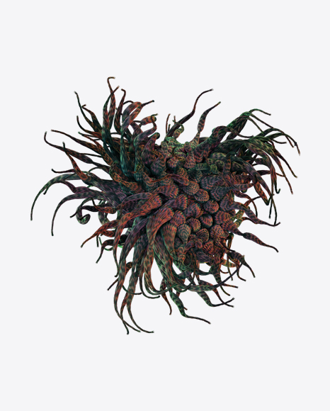 Free Organic Abstract Object