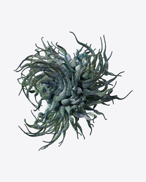 Free Organic Abstract Object