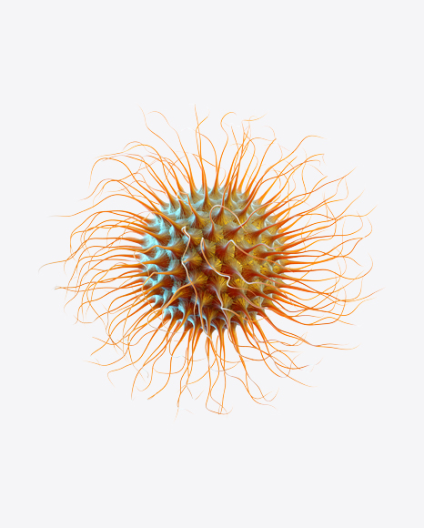Free Organic Abstract Object