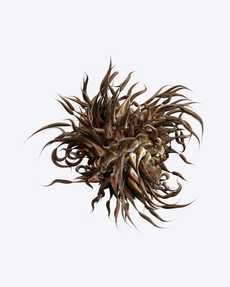 Free Organic Abstract Object