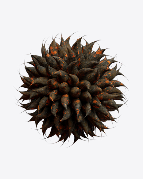 Free Organic Abstract Object