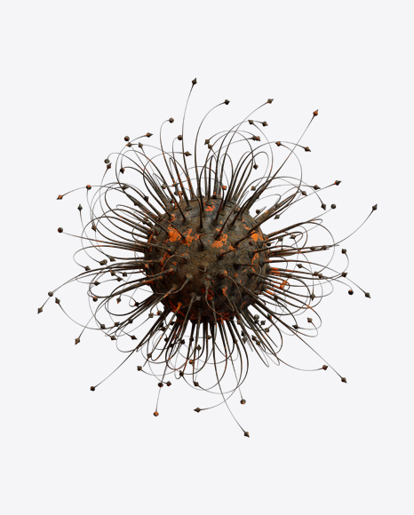 Free Organic Abstract Object