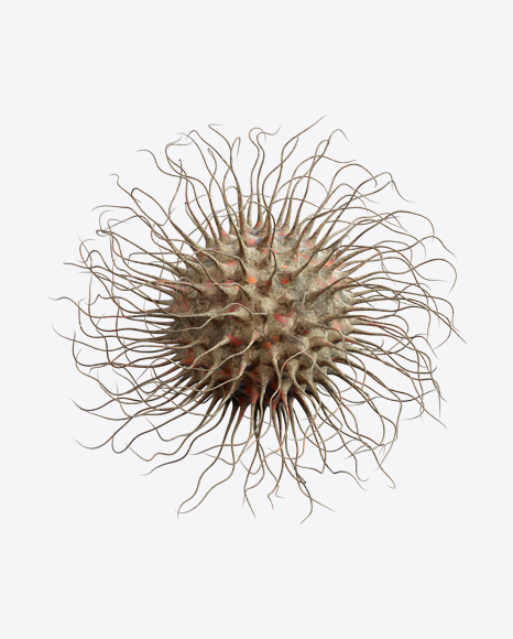 Free Organic Abstract Object