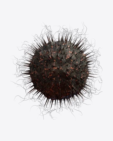 Free Organic Abstract Object