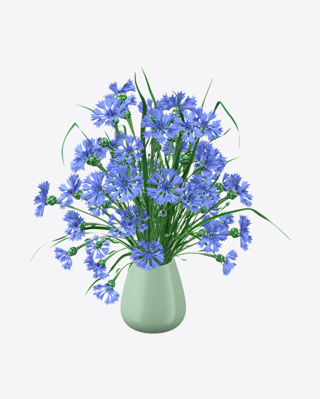 Free Blue Flowers in Pot