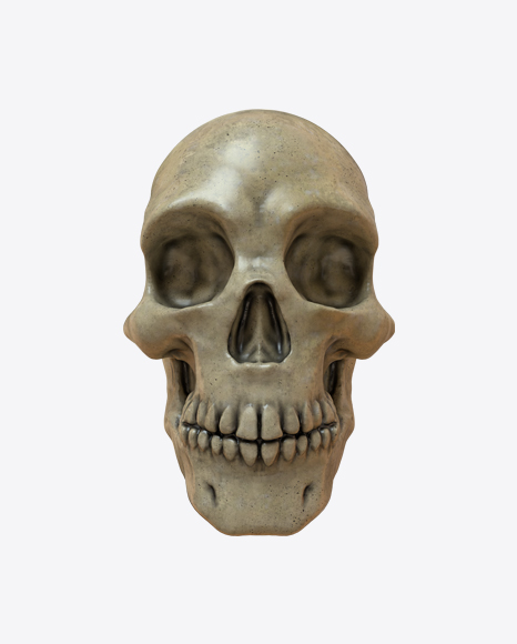 Free Skull