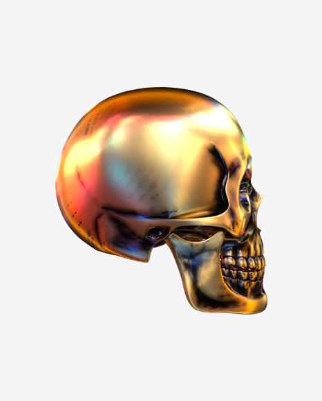 Free Metal Skull