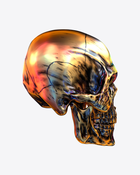 Free Metal Skull