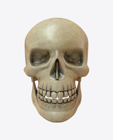 Free Skull