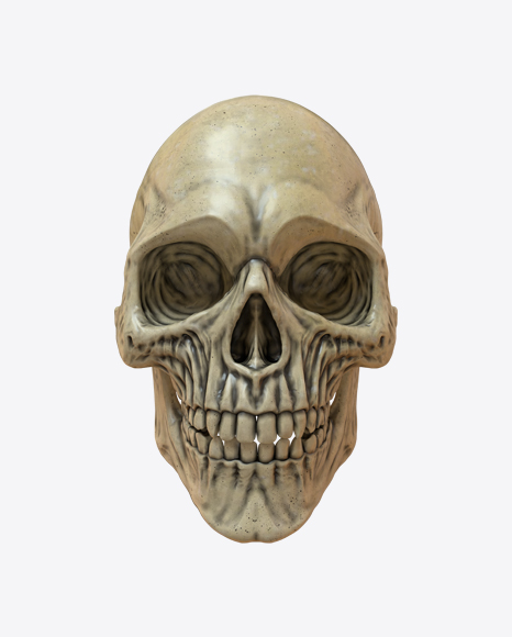Free Skull