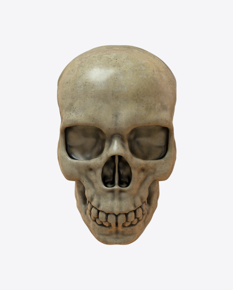 Free Skull