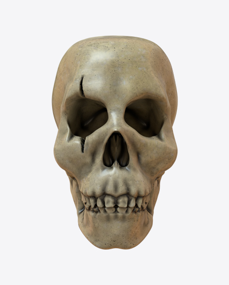 Free Skull