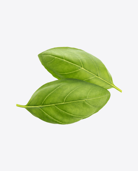 Free Basil Leaves