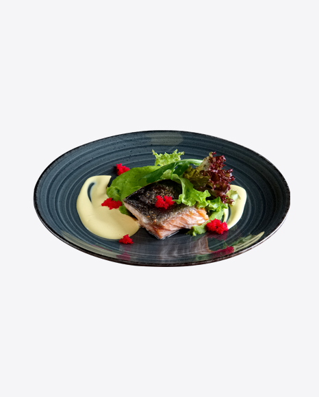 Free Salmon w/ Greens & Puree