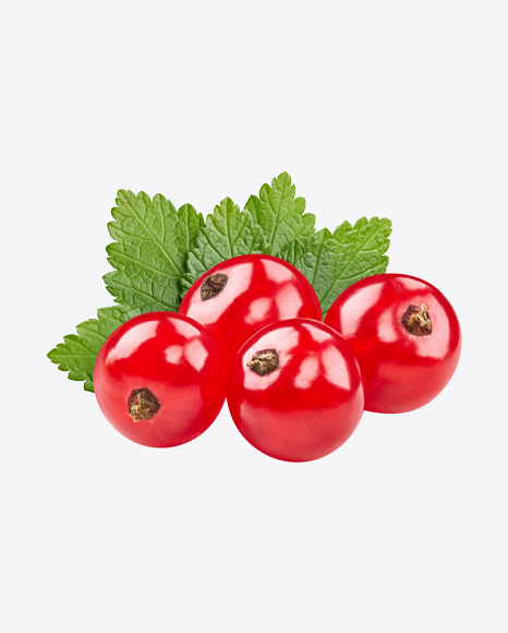 Free Red Currant Berries w/ Leaves