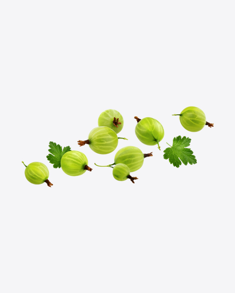 Free Goosberries