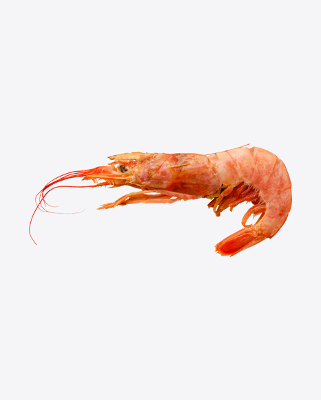 Free Raw Shrimp in Shell