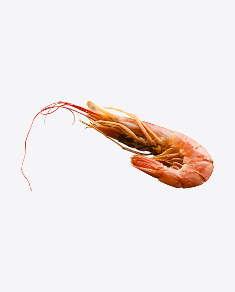 Free Raw Shrimps in Shell