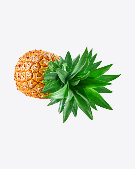 Free Pineapple