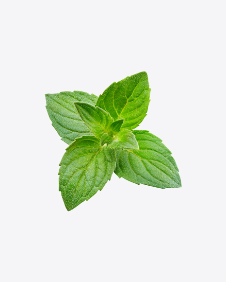 Free Mint Branch