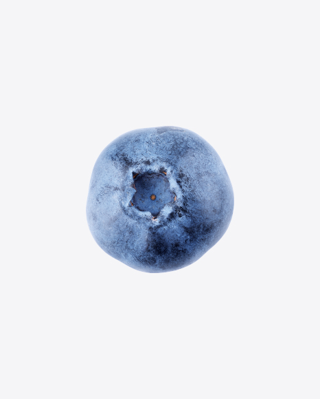 Free Blueberry