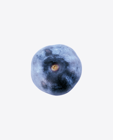 Free Blueberry