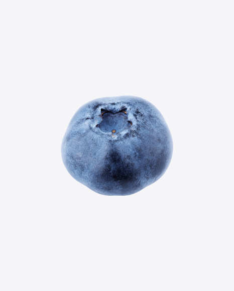 Free Blueberry