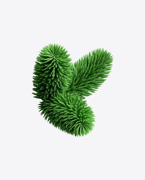 Free Spruce Branch